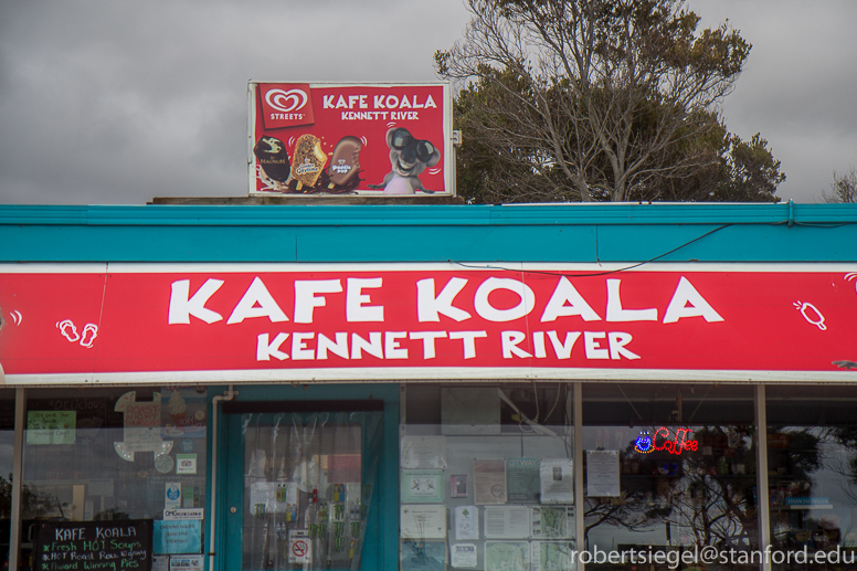 kafe koala